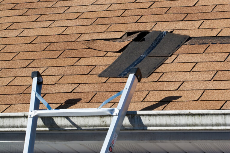 Damaged shingles
